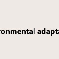 environmental adaptation是什么意思