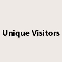 Unique Visitors是什么意思
