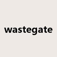 wastegate是什么意思