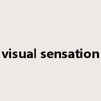 visual sensation是什么意思