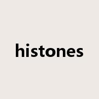 histones是什么意思