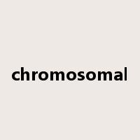 chromosomal是什么意思