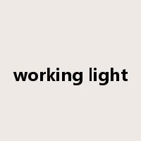 working light是什么意思