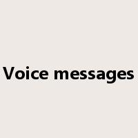 Voice messages是什么意思
