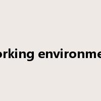 working environment是什么意思