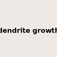 dendrite growth是什么意思
