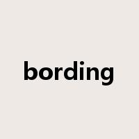bording是什么意思