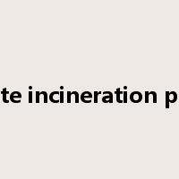 waste incineration plant是什么意思