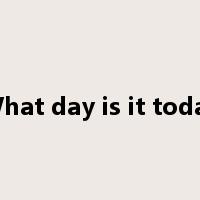 What day is it today是什么意思
