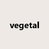 vegetal是什么意思