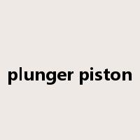 plunger piston是什么意思