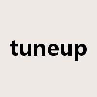 tuneup是什么意思