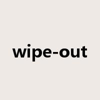 wipe-out是什么意思