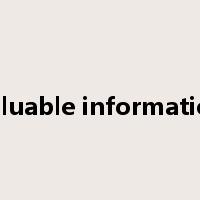 valuable information是什么意思
