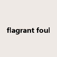 flagrant foul是什么意思