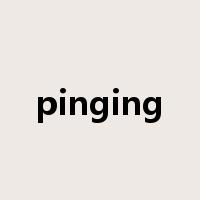 pinging是什么意思