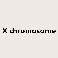 X chromosome是什么意思