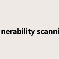 vulnerability scanning是什么意思