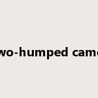two-humped camel是什么意思