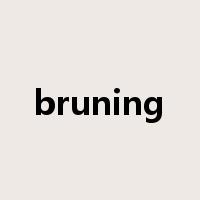 bruning是什么意思