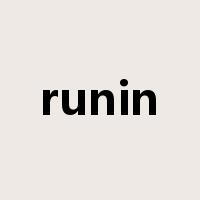 runin是什么意思