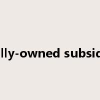 wholly-owned subsidiary是什么意思