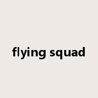 flying squad是什么意思