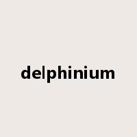 delphinium是什么意思