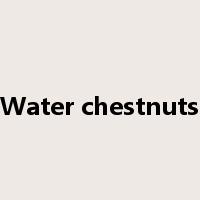 Water chestnuts是什么意思