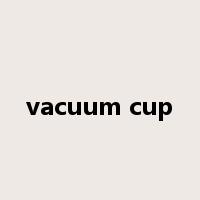 vacuum cup是什么意思