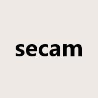 secam是什么意思