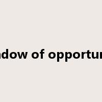 window of opportunity是什么意思
