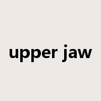 upper jaw是什么意思