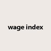 wage index是什么意思