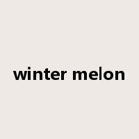 winter melon是什么意思