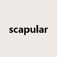scapular是什么意思