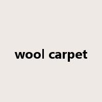 wool carpet是什么意思