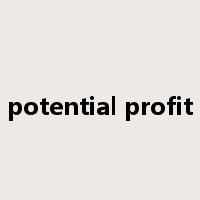 potential profit是什么意思