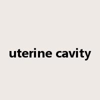 uterine cavity是什么意思