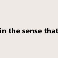 in the sense that是什么意思