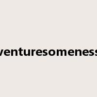 venturesomeness是什么意思