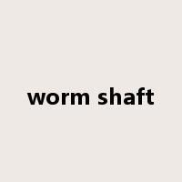 worm shaft是什么意思