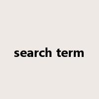 search term是什么意思