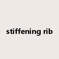 stiffening rib是什么意思