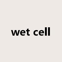 wet cell是什么意思