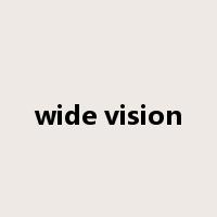 wide vision是什么意思