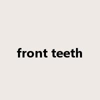 front teeth是什么意思
