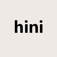 hini是什么意思