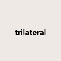 trilateral是什么意思