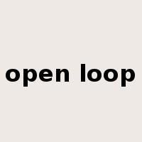 open loop是什么意思